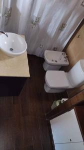 La salle de bains est pourvue d'un lavabo blanc et de toilettes. dans l'établissement Roca, à San Martín de los Andes