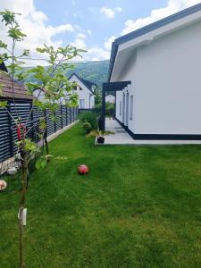 a small yard with a white house and a tree at Apartma FRIGO in Maribor