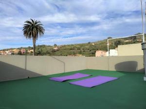 a room with purple mats on top of a roof at Casa Nogal in La Matanza de Acentejo