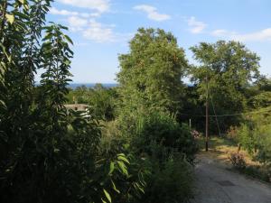 Příroda nedaleko apartmánu