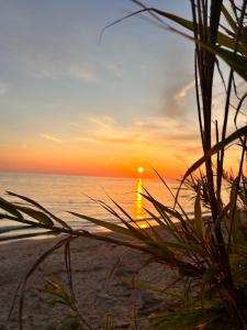 zachód słońca na plaży z rośliną na pierwszym planie w obiekcie Elsa home w mieście Mitikas