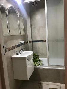 un baño con lavabo y ducha en Amplio Departamento Céntrico, en San Juan 4 fotos más