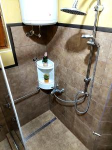 a bathroom with a shower with a toilet and a sink at Holiday Home Mirza in Sarajevo +29 photos
