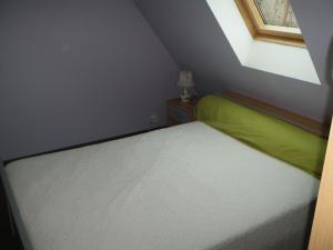 a small bedroom with a bed with a green blanket at Maison de campagne in Sénergues