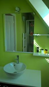 a green bathroom with a sink and a mirror at Maison de campagne in Sénergues