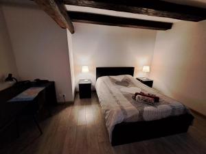a bedroom with a bed with two lamps on it at Les Colombages in Colmar