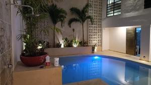 Hotel Yaxactun 내부 또는 인근 수영장