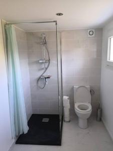 La salle de bains est pourvue d'une cabine de douche et de toilettes. dans l'établissement Le studio lamottois, à Lamotte-Beuvron