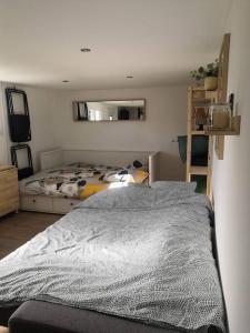 Un dormitorio con una cama y un espejo en la pared. en Le studio lamottois, en Lamotte-Beuvron