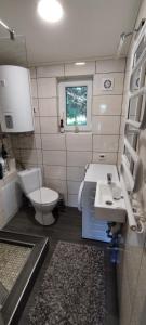 a bathroom with a sink and a toilet and a window at Ramučių sodyba 