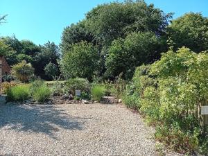 a garden with a gravel driveway and trees at Emily's Retreat at the Great Barn in Great Dunham