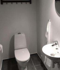 a white bathroom with a toilet and a sink at Anneks ved Ribe Østerå in Ribe