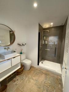 a bathroom with a shower and a toilet and a sink at Ecole des hautes cotes in Fussey