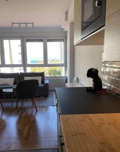 a black dog sitting on the counter of a kitchen at A Estrenar. Apartamento Reformado con vistas. in Salinas