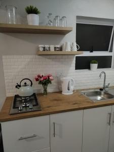 a kitchen counter with a tea kettle and a sink at Harmonie Self Catering in Wolseley +4 photos