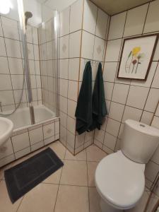 a bathroom with a toilet and a shower and a sink at Apartament Natura in Mrągowo