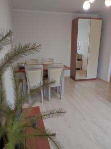 a dining room with a table and chairs and a mirror at Apartament Natura in Mrągowo