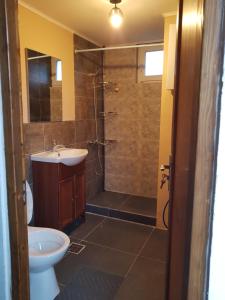 a bathroom with a shower and a sink and a toilet at Casa CeDar in Lupeni