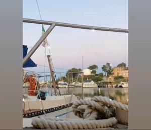 a boat is docked in a marina with ropes at LUPA - La flotta di Willy Giò in Alghero