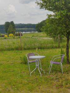 una mesa y dos sillas sentadas en un campo en Domek nad Dadajem, en Kromerowo