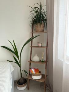 a shelf with two plants on it next to a bed at Vintage dream in Heide
