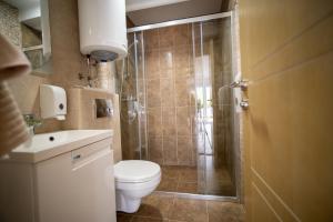 a bathroom with a shower and a toilet and a sink at Apartments Edera in Tivat
