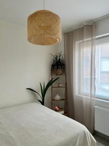 een witte slaapkamer met een bed en een raam bij Vintage dream in Heide