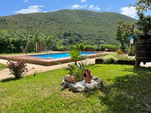 une personne posant sur un rocher dans l'herbe près d'une piscine dans l'établissement Casa De Crescenzo con piscina, à Bellona