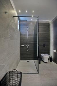 a bathroom with a shower and a toilet at Animus Premium apt in Nafplio