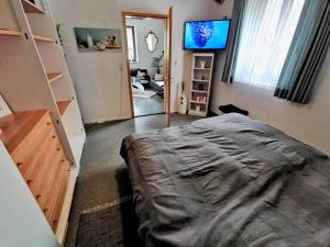 um quarto com uma cama, uma televisão e um espelho em Wellness zur Alleinnutzung mit Ferienwohnung und Fitnessbereich - fitSPA em Sulz am Neckar