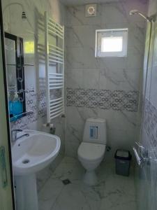 Łazienka z białą toaletą i umywalką w obiekcie Nunu's Guesthouse w mieście Ckaltubo