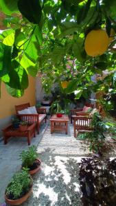 un patio con panchine e un mucchio di piante di Green House ad Avola