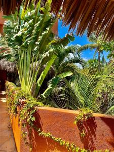 a group of palm trees and plants on a wall at Hotel Casa Mixteca in Zipolite