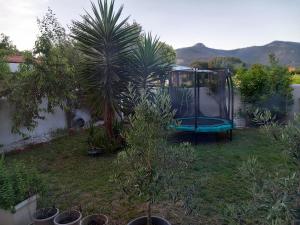 un jardín con palmeras y un columpio en MY HOME, en Cascina