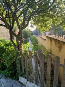 a wooden fence in front of a tree at VILLA GIULIANA stanze con bagno interno in Villa a 350 mt spiaggia libera Lido delle Sirene in Anzio