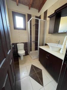 a bathroom with a toilet and a sink and a shower at Palm Villa Private Studio in Phrenaros