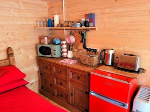 cocina con fogones rojos y microondas en Tan y coed's Rosemary Cabin en Conwy