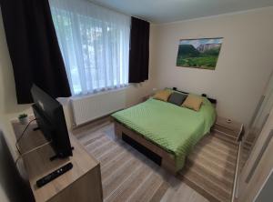 TV a/nebo společenská místnost v ubytování Zoldrebi apartment