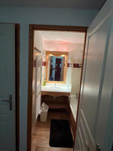 尚魯斯的住宿－Chamrousse Appart 8 personnes au pied des pistes，一间带水槽和镜子的浴室