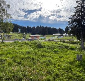 Příroda nedaleko apartmánu