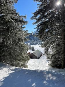 Chamrousse Appart 8 personnes au pied des pistes v zimě