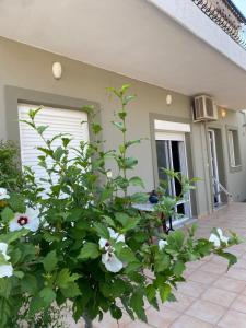 Gallery image of Ilisia Neapoli apartments 1 in Neapoli Voion