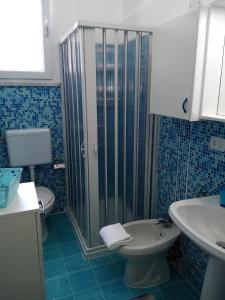ein Bad mit einer Dusche, einem WC und einem Waschbecken in der Unterkunft Eva Casa Vacanza in Felline