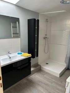 a bathroom with a sink and a shower and a tub at Gite de la Sèvre in Saint-Amand-sur-Sèvre