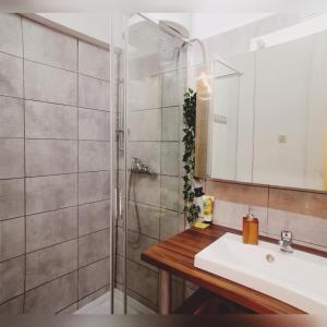 un baño con lavabo y ducha en Old city center, en Rijeka 26 fotos más