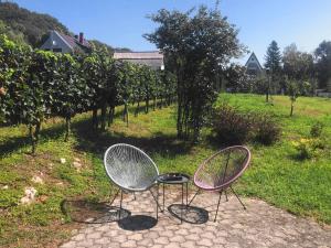 Zahrada ubytování Spacious 3 bedroom house with heated pool