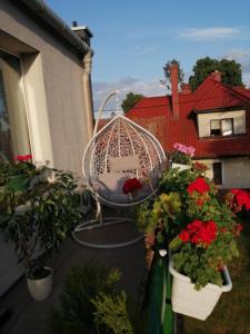 un balcone con altalena e fiori in vasi di Apartament ,,STORCZYK'' a Giżycko