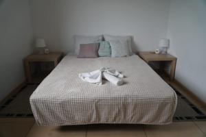 Postel nebo postele na pokoji v ubytování Dom na wakacje nad Zalewem Sulejowskim