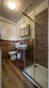 La salle de bains est pourvue d'une douche, de toilettes et d'un lavabo. dans l'établissement L'abete, bilocale su due piani in centro storico, à Sondrio