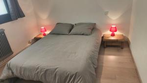 1 dormitorio con 1 cama y 2 lámparas en las mesas en La maison de Soso, en Capendac